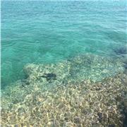 Sto per laurearmi in lingue letterature straniere e traduzione. Studio inglese e francese